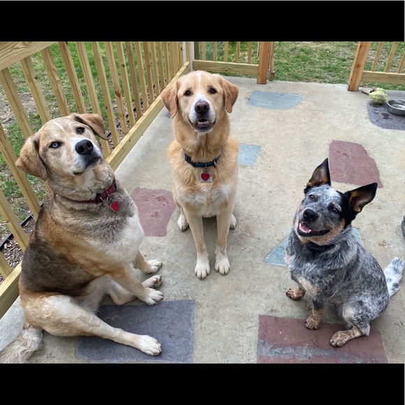 Meet your Posher, Jocelyn - Picture 9 of 10